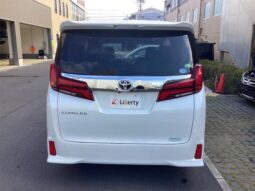 
										TOYOTA ALPHARD 2019 full									