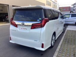 
										TOYOTA ALPHARD 2019 full									