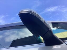 
										TOYOTA ALPHARD 2019 full									