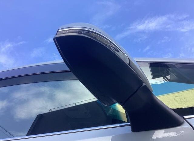 
								TOYOTA ALPHARD 2019 full									