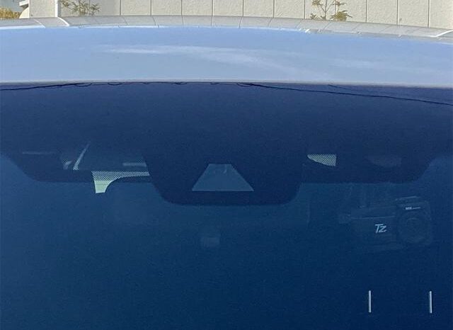 
								TOYOTA ALPHARD 2019 full									