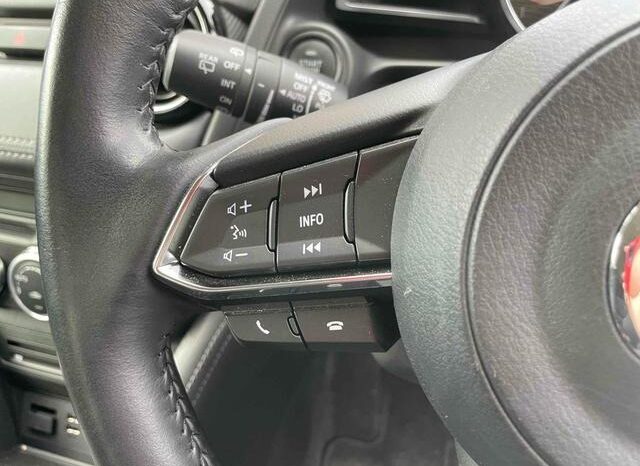 
								MAZDA DEMIO 15S TOURING 2019 full									