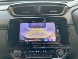 
										HONDA CR-V EX MASTERPIECE 2019 full									