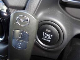 
										MAZDA DEMIO 15S TOURING 2019 full									