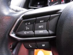 
										MAZDA DEMIO XD TOURING L PACKAGE 2017 full									