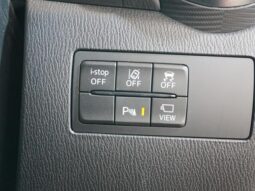 
										MAZDA DEMIO 15S MIST MAROON 2019 full									