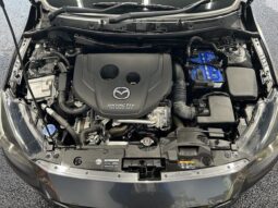 
										MAZDA DEMIO XD TOURING 015 full									