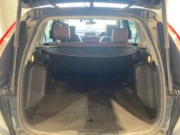 
										HONDA CR-V EX MASTERPIECE 2019 full									