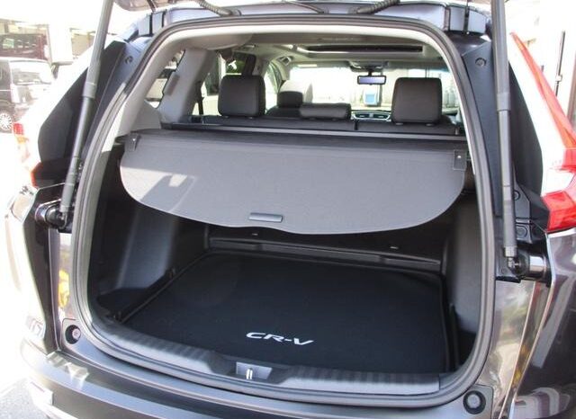 
								HONDA CR-V EX MASTERPIECE 2018 full									