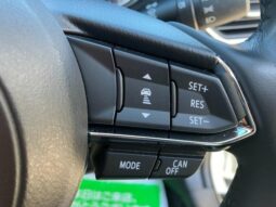 
										MAZDA CX-5 25S PROACTIVE full									