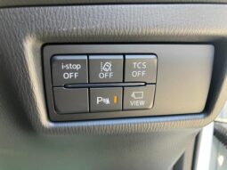 
										MAZDA CX-5 25S PROACTIVE full									