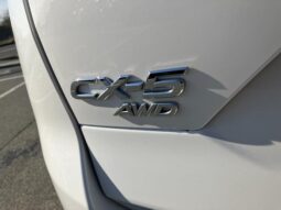 
										MAZDA CX-5 25S PROACTIVE full									