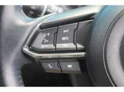 
										MAZDA CX-5 25S L PACKAGE full									