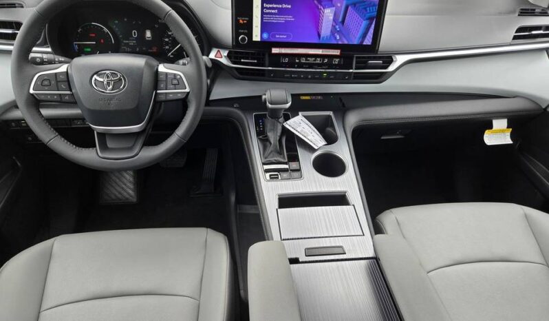 
								TOYOTA SIENNA XLE full									