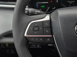 
										TOYOTA SIENNA XLE full									