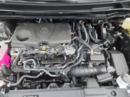 
										TOYOTA SIENNA XLE full									