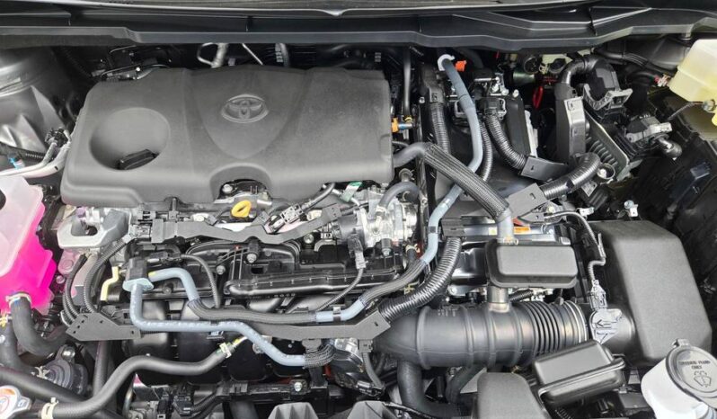 
								TOYOTA SIENNA XLE full									