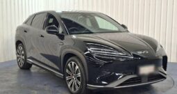 BYD SEALION 7 Performance Package