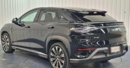 BYD SEALION 7 Performance Package