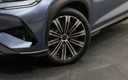 
										BYD SEALION 7 Performance Package full									