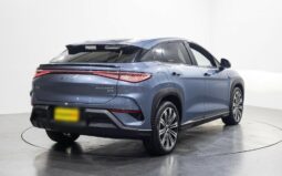 
										BYD SEALION 7 Performance Package full									