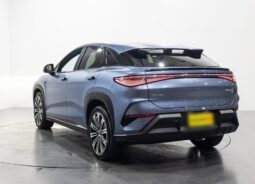 BYD SEALION 7 Performance Package