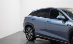 
										BYD SEALION 7 Performance Package full									