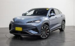 BYD SEALION 7 Performance Package
