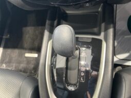 
										NISSAN X-TRAIL 20XT EMERGENCY BRAKE PACKAGE full									