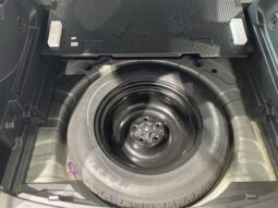 
										NISSAN X-TRAIL 20XT EMERGENCY BRAKE PACKAGE full									